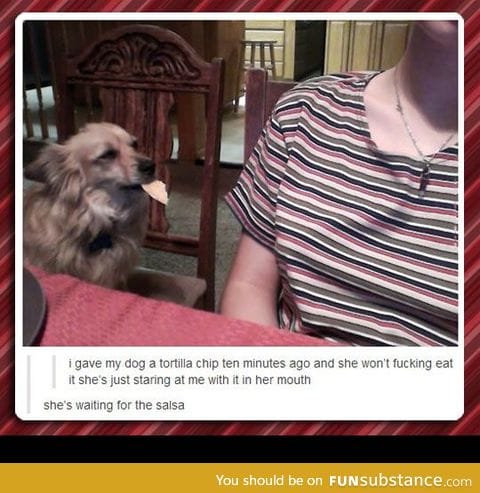 Who gives a dog a chip without salsa? You monster.