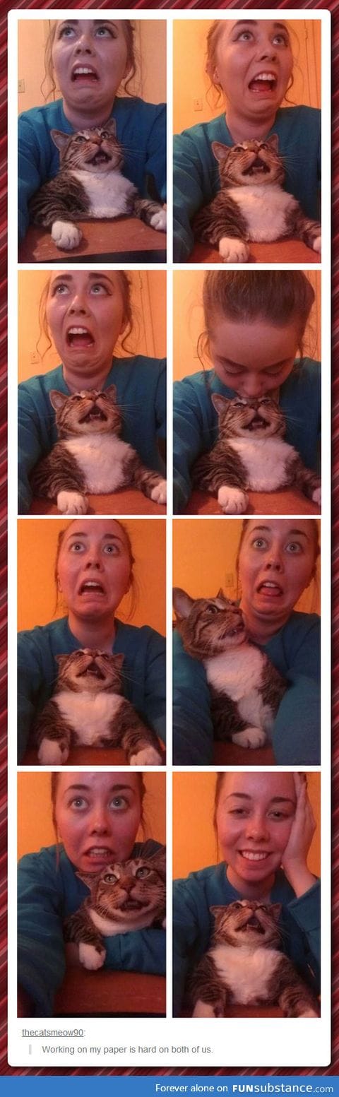 Suffering with my cat