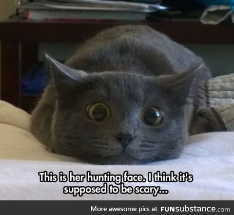 Her hunting face