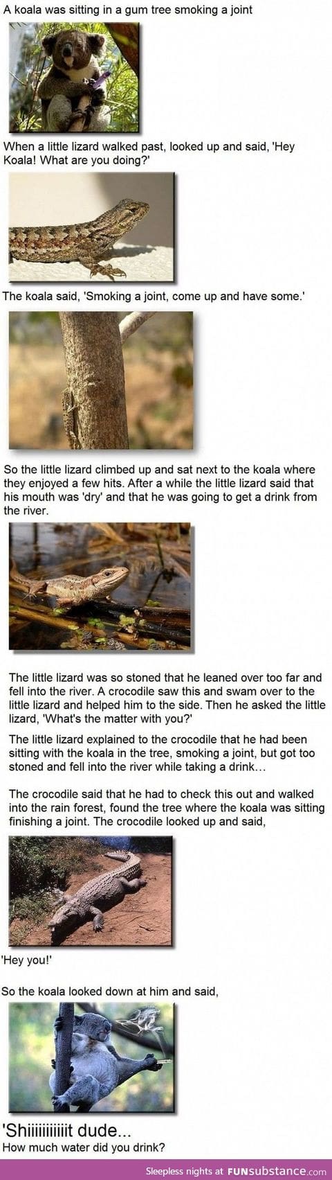 You know you're high when