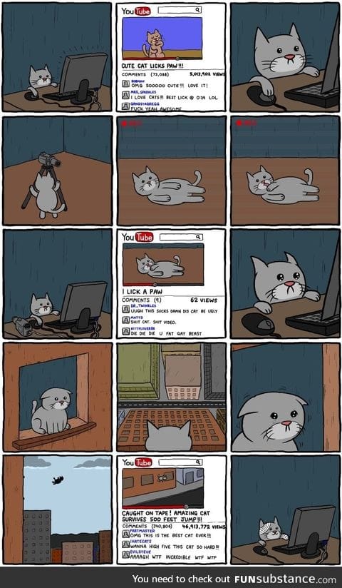 Internet sensation