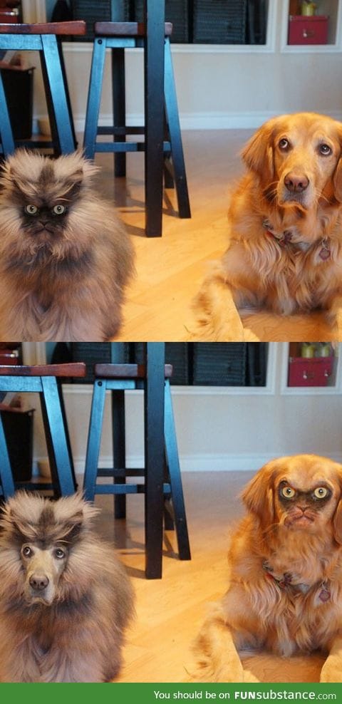 My favorite face swap