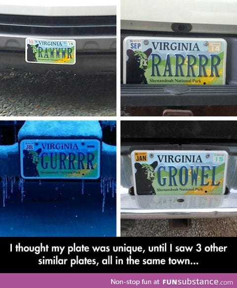 Not so unique license plate