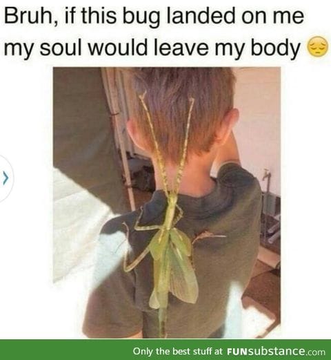 Sweet Jesus, I would die.
