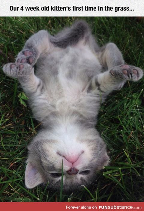 First time in the grass