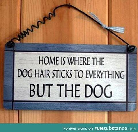 Dog owners will understand