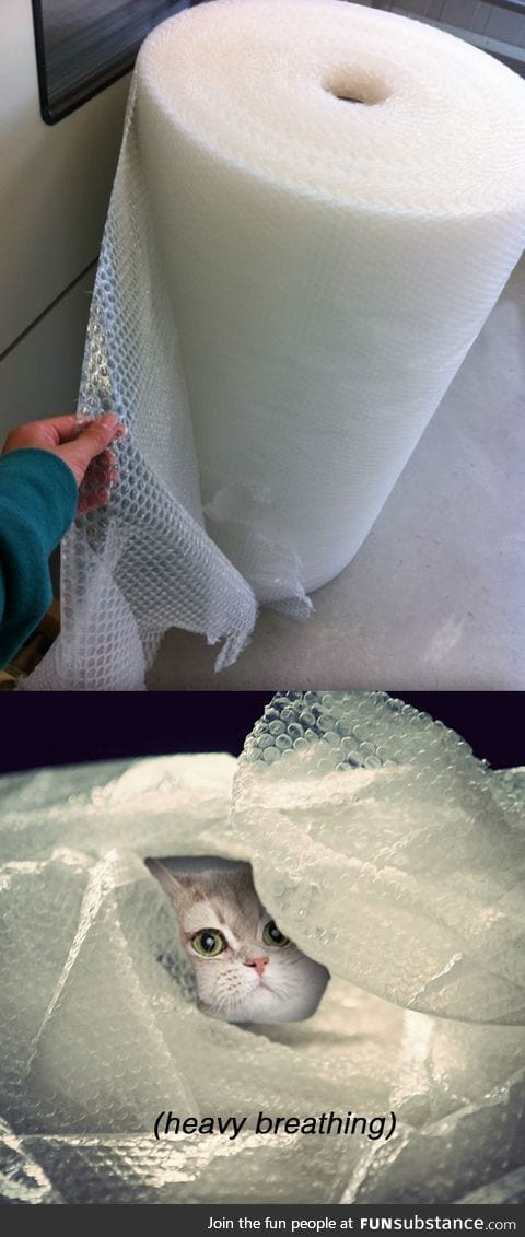 Bubble wrap heaven