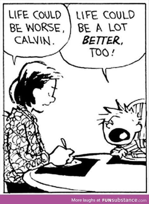 Calvin and Hobbes. They made me wise at a young age