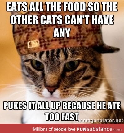 Scumbag kitty