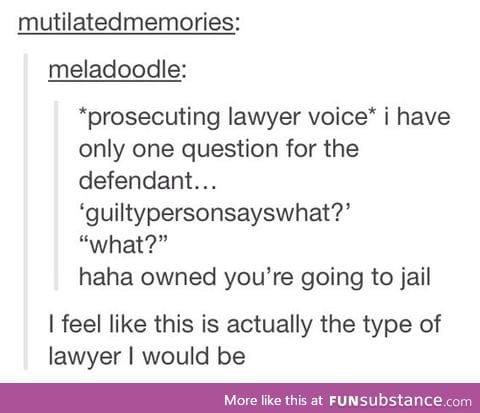 Me as a lawyer