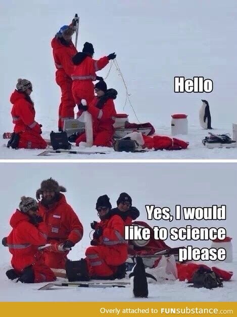 Penguins can science too