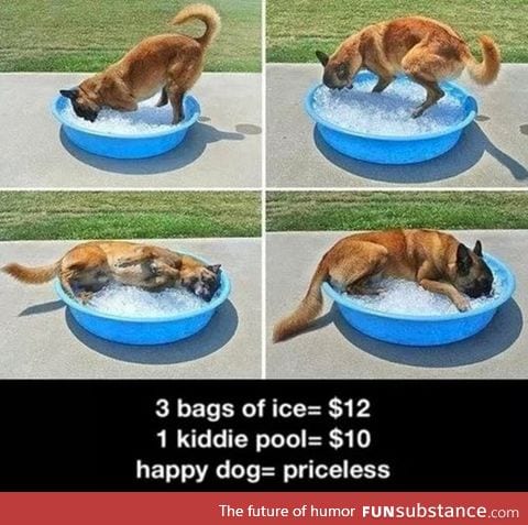 The low price of happiness