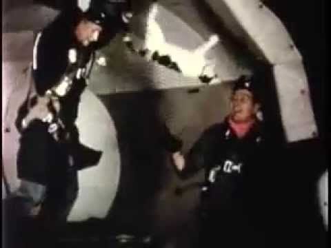 Cats in zero-gravity, for science