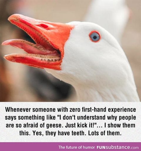 They have teeth, people