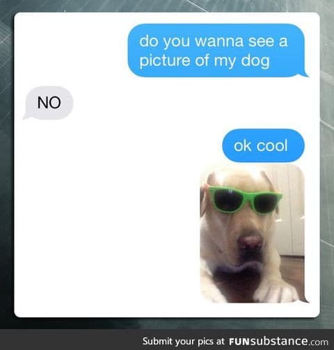 A picture of my dog