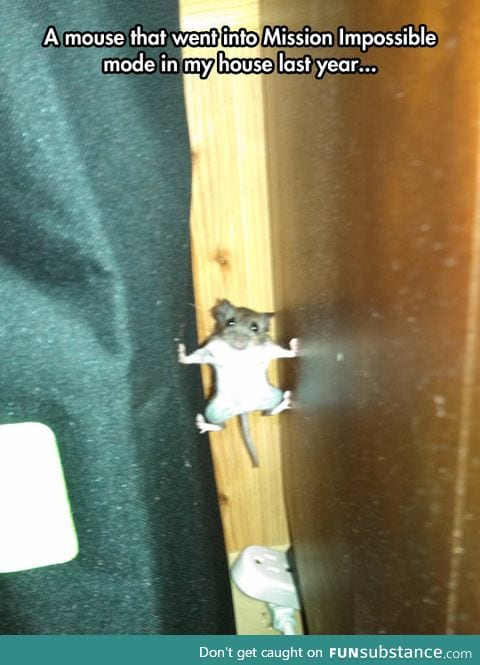 Much cuter than tom cruise