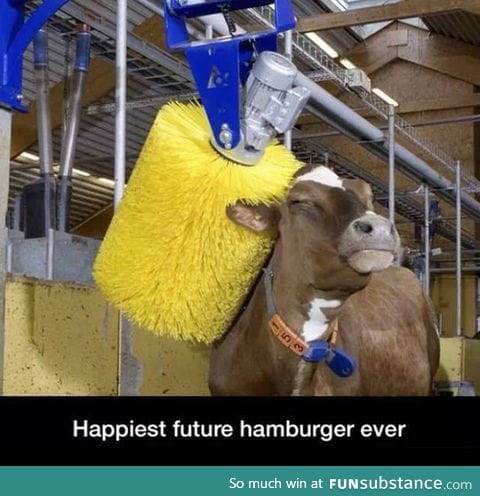 Vegetarians gonna hate