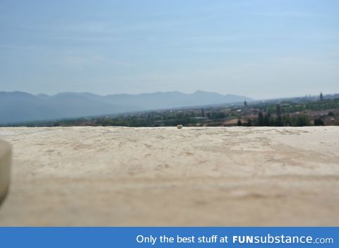 A camera flat on top of the leaning tower of Pisa and took this pic