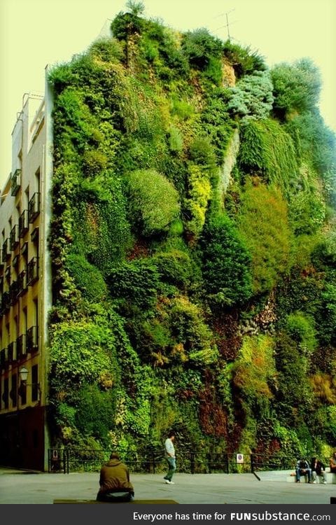 Vertical garden in Madrid, Spain