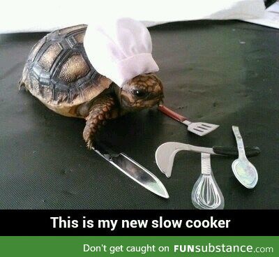 Slow cooker