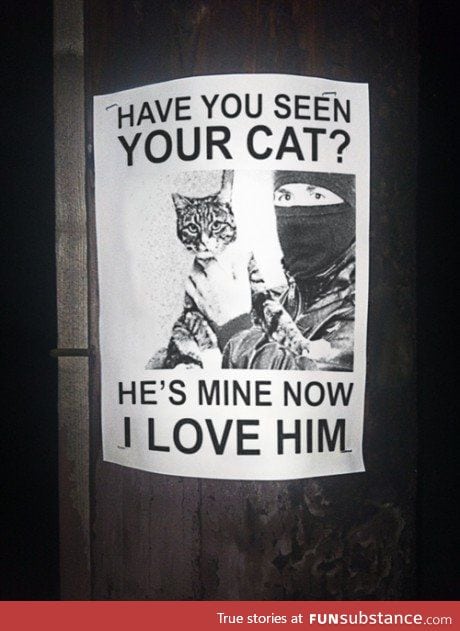 HAHAHAHAHA my cat