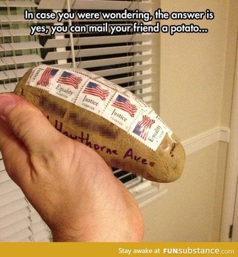 You've got mail!