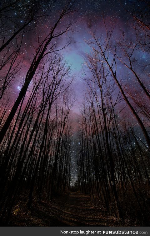 Nice Night for a Walk