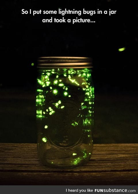 Lightning bugs in a jar