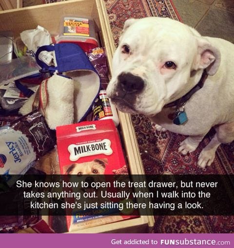 Respect the treat drawer