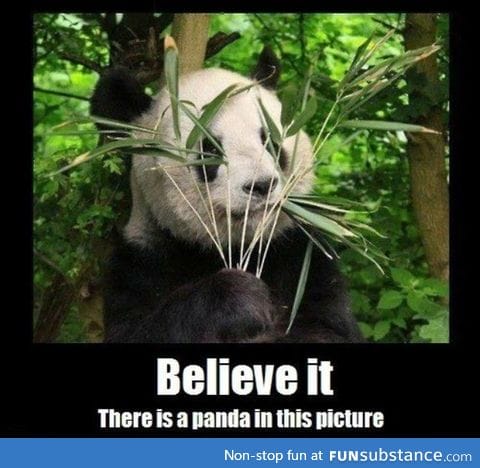 I only see bamboo