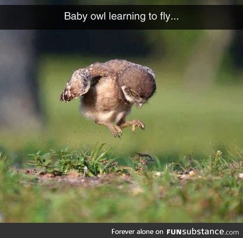 Learning to fly