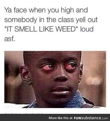 That smelly smell of smells