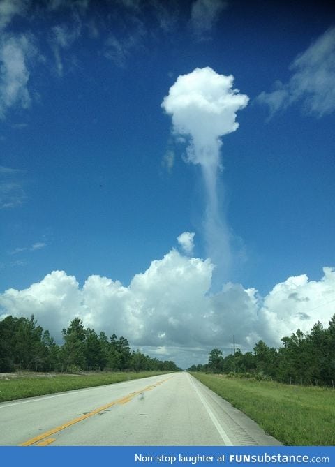 Tiny raincloud. About to ruin a single person's day.