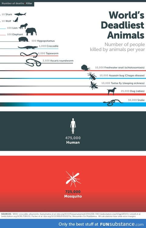 World's deadliest animals