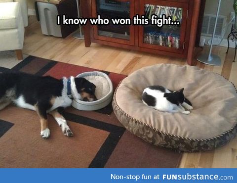 They always win