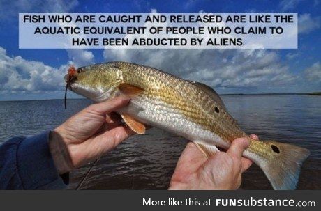 Holy fish tentacles Batman!!