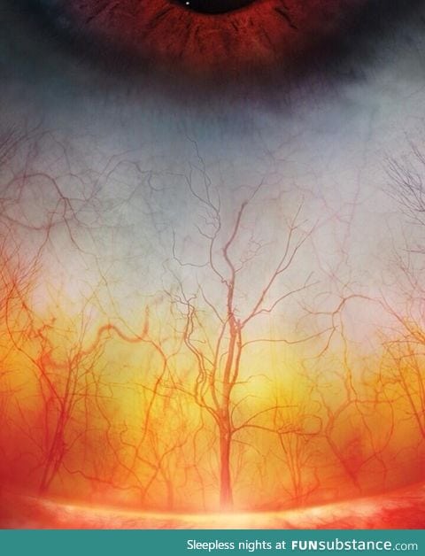 A close up of the human eye looks like a creepy forest