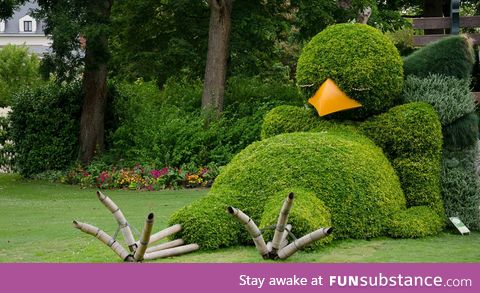 Sleepy chick