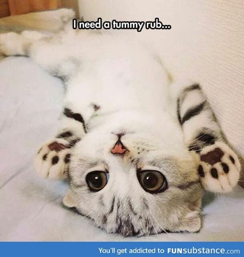 Try to say no to that