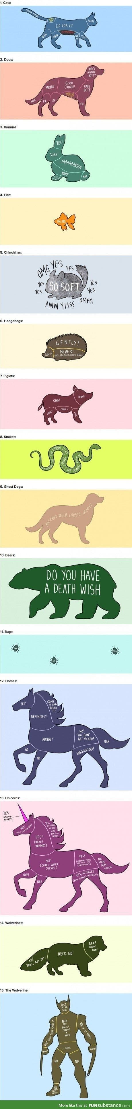 The guide to petting aminals
