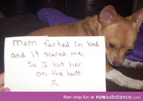 Poor thing thought it was a monster!