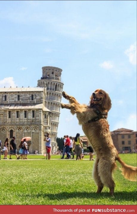Not another leaning tower pic