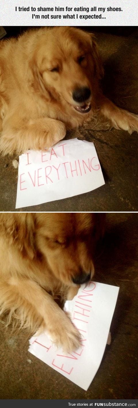 Shaming doesn't go as expected