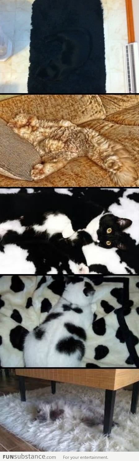 Camouflage Lvl: Cat