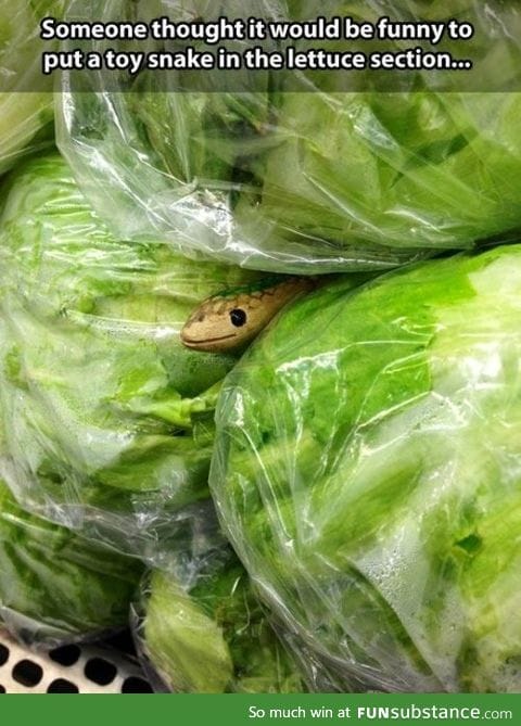 You picked the wrong lettuce!