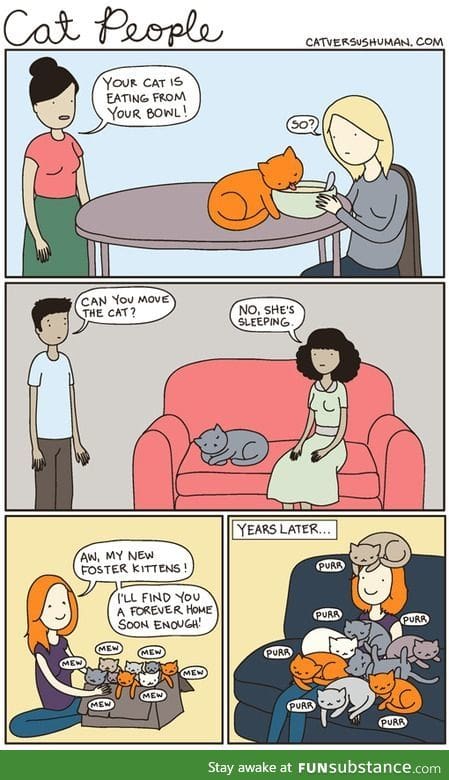 cat people!!!