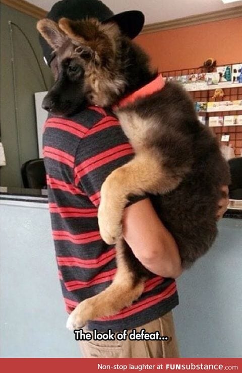 That Empty And Sad Face When You Enter The Vet's Office