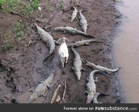 Even though I walk through the darkest valley, I will fear no evil