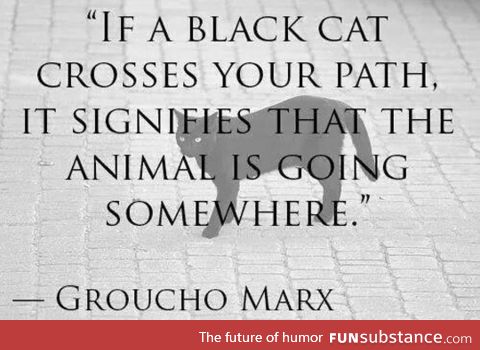 If a Black Cat Crosses Your Path