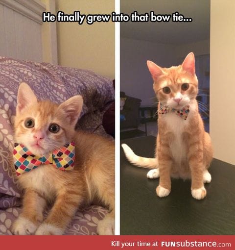 Growing up classy